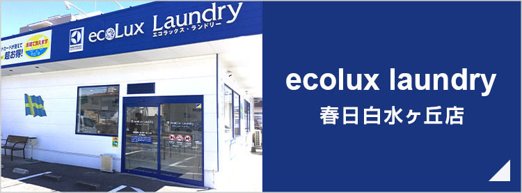 ecolux laundry